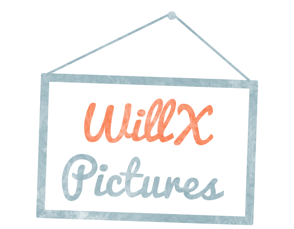  » Welcome Pagewillxpictures